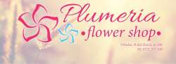 Plumeria Flower Shop Oradea (Clau&rares Srl)